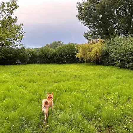 Houseboat - Beacon Of Happiness